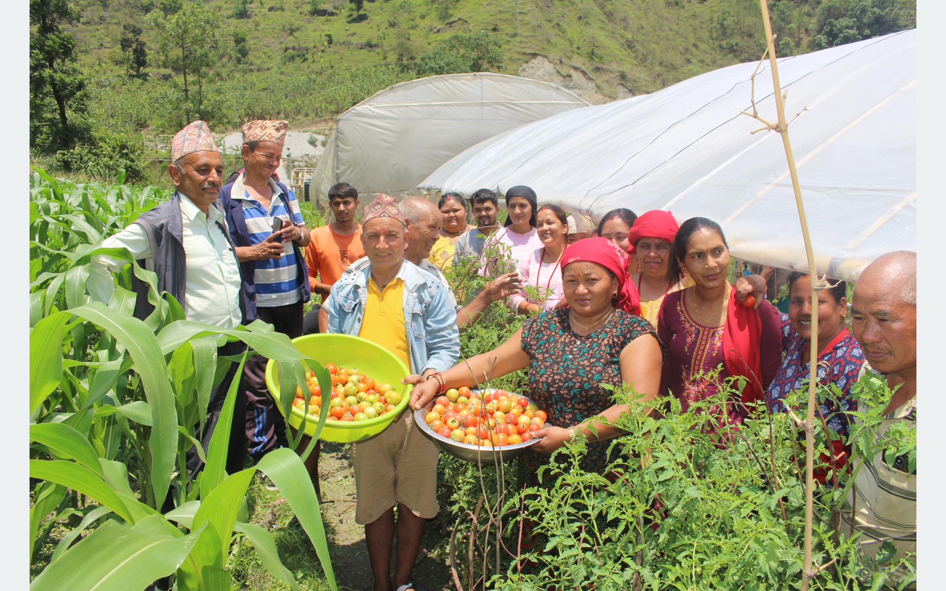 प्रभावकारी बन्दै कृषक पाठशालाः विषादी औषधि होइन भन्ने वास्तविकता बुझ्दै किसान