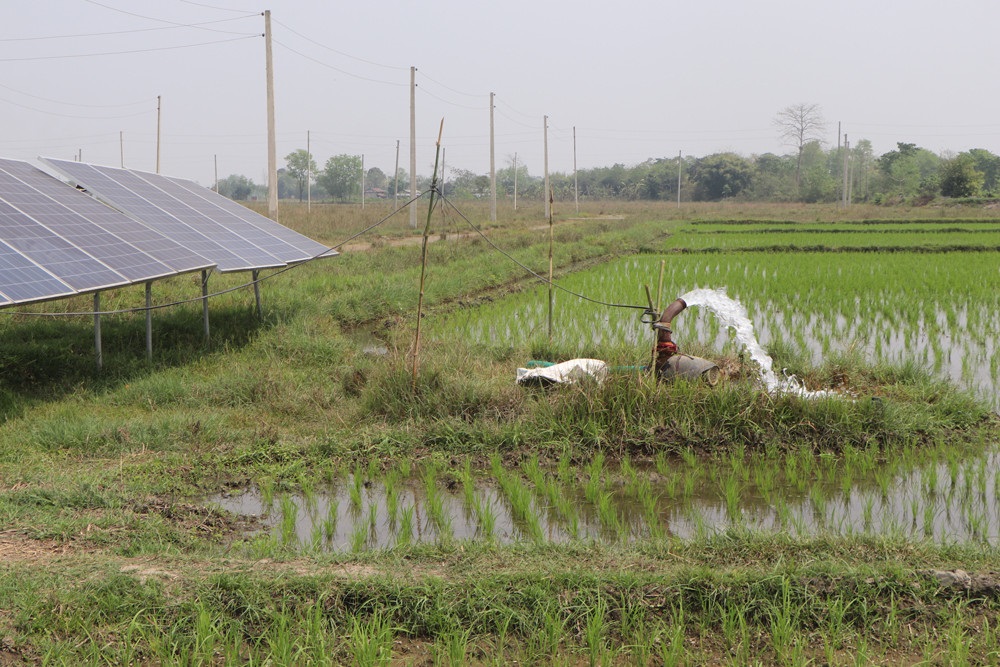 एक वर्षमा सिँचाइका ४८ ट्युबवेल निर्माण