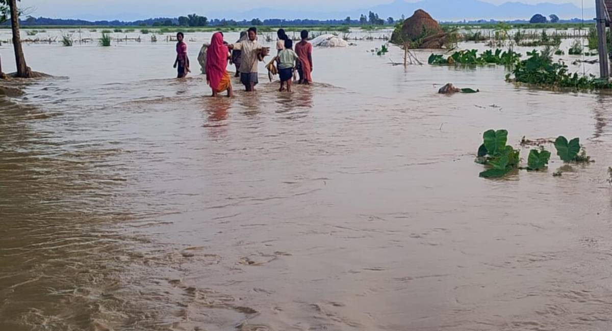 झापामा बाढीको कहर : चार करोड बराबरको क्षति
