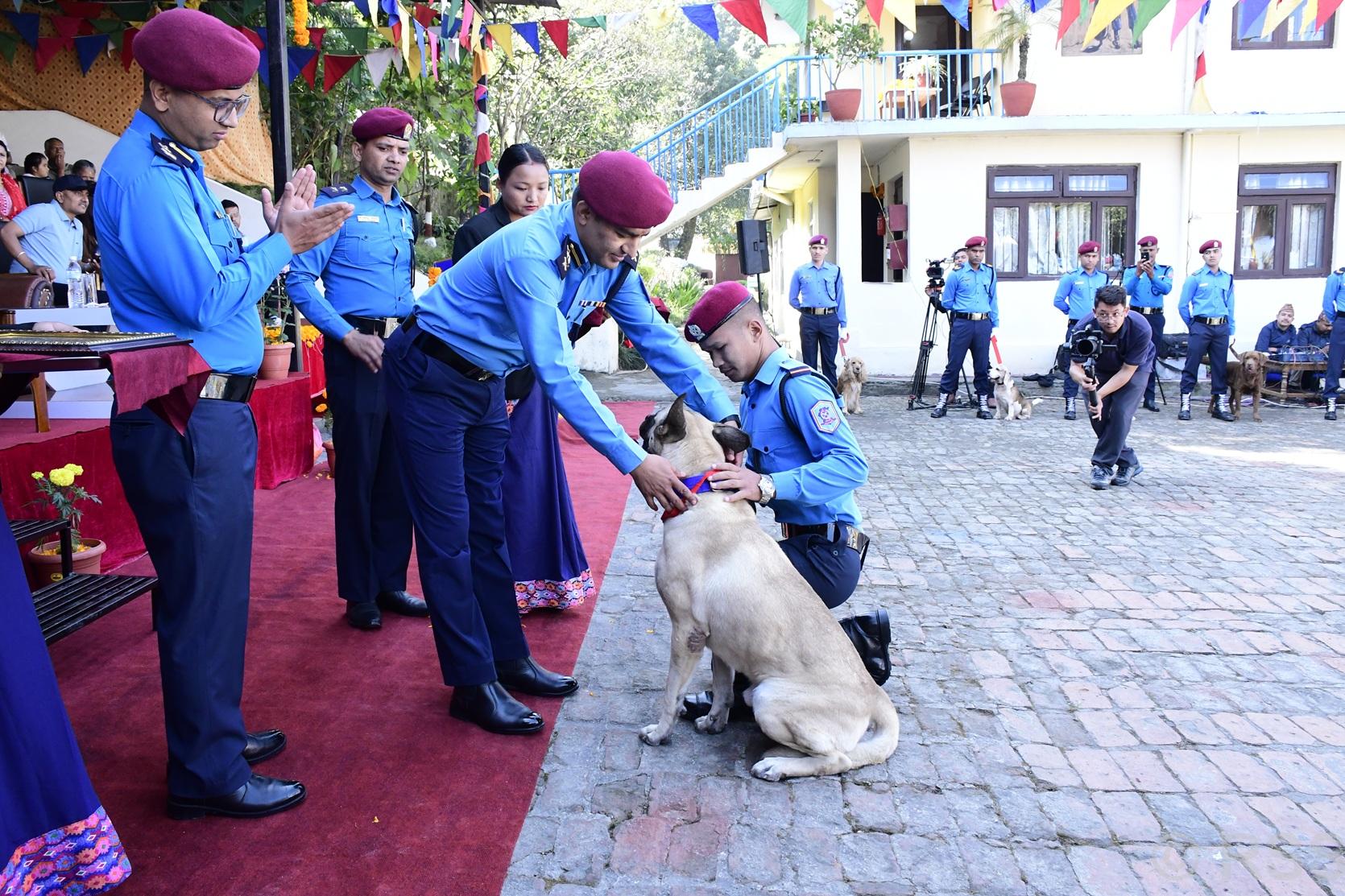 यमपञ्चकको तेस्रो दिन : मनाइयो कुकुर तिहार