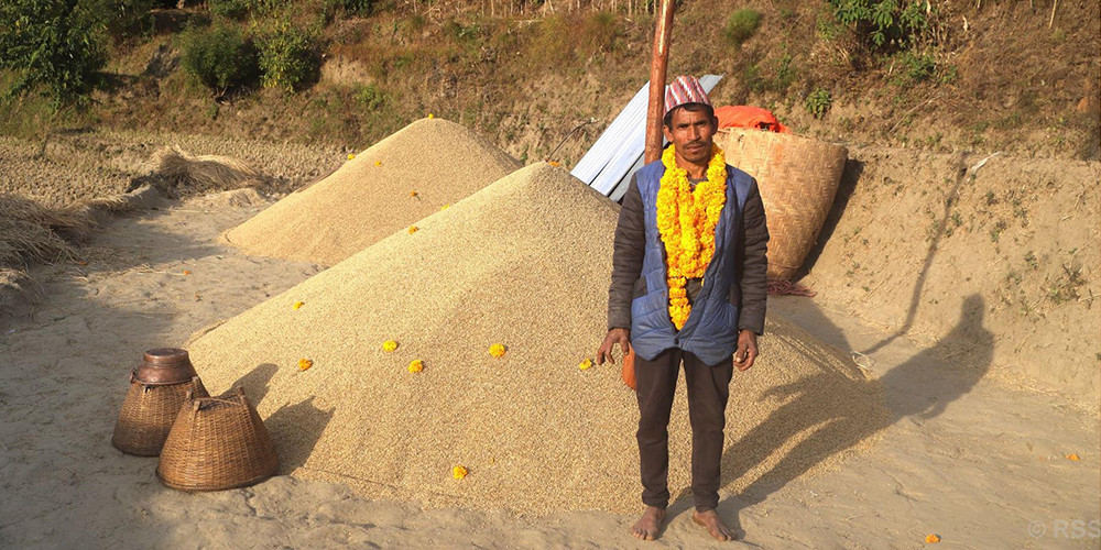 १६८ मुरी धान फलाएका बम्जन दम्पती ५० हजारबाट पुरस्कृत