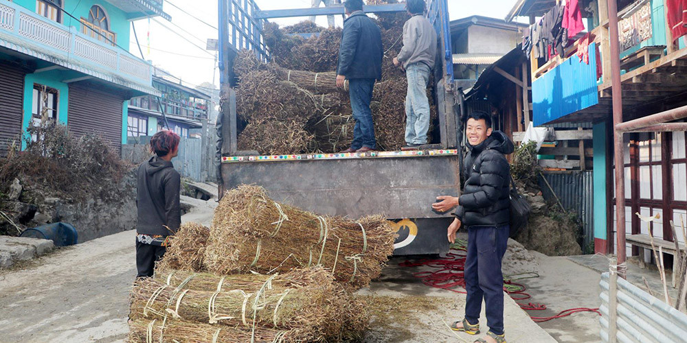 चिराइतोको मूल्य बढ्दो, उत्पादन घट्दो