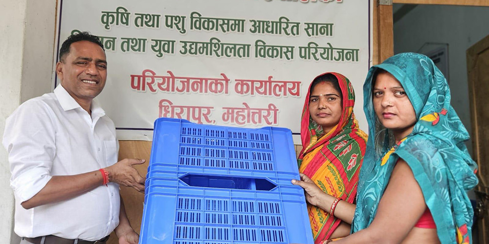डाले घाँसको बीउ पाएपछि मटिहानीका किसान दङ्ग