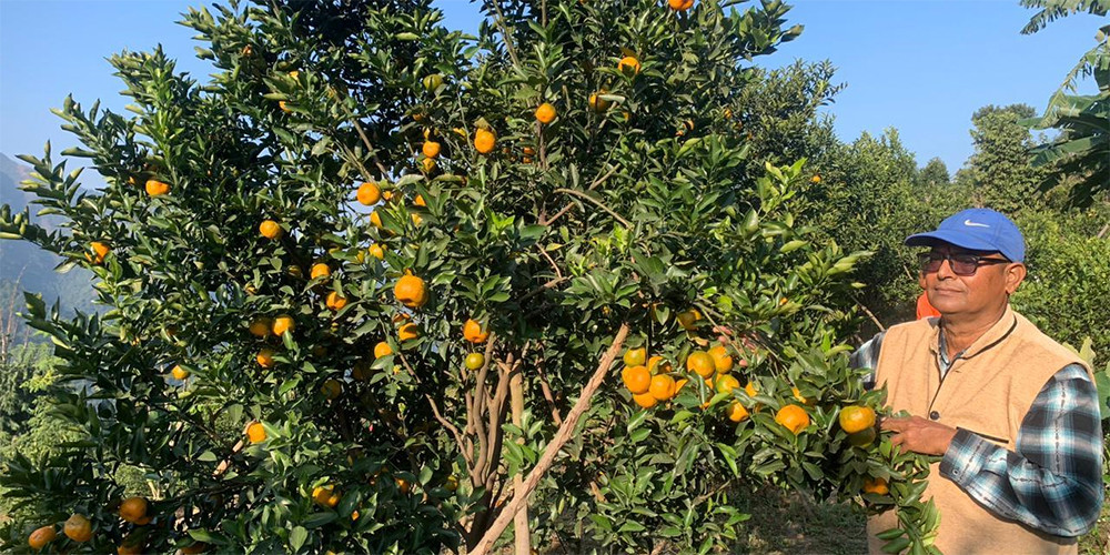 कृषि कर्मबाटै चिनिएका गुप्तप्रसाद