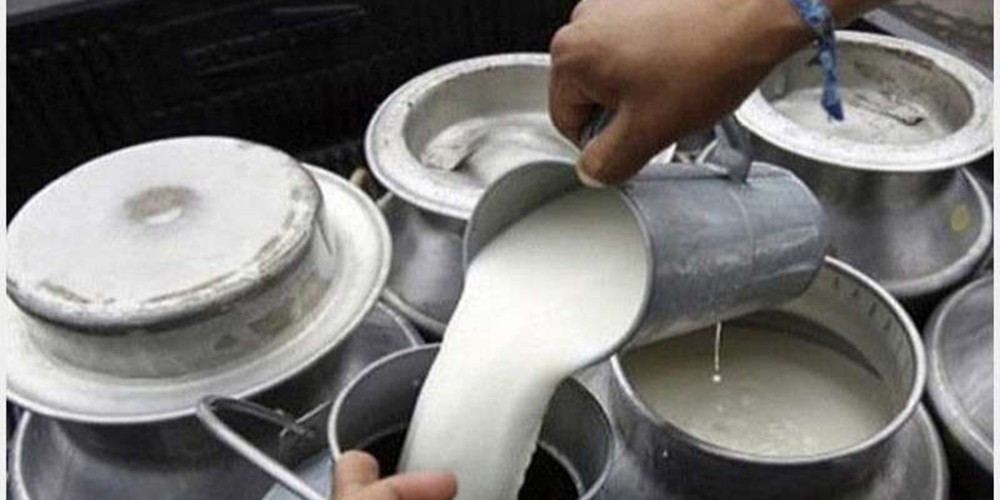 दुध उत्पादन घट्यो