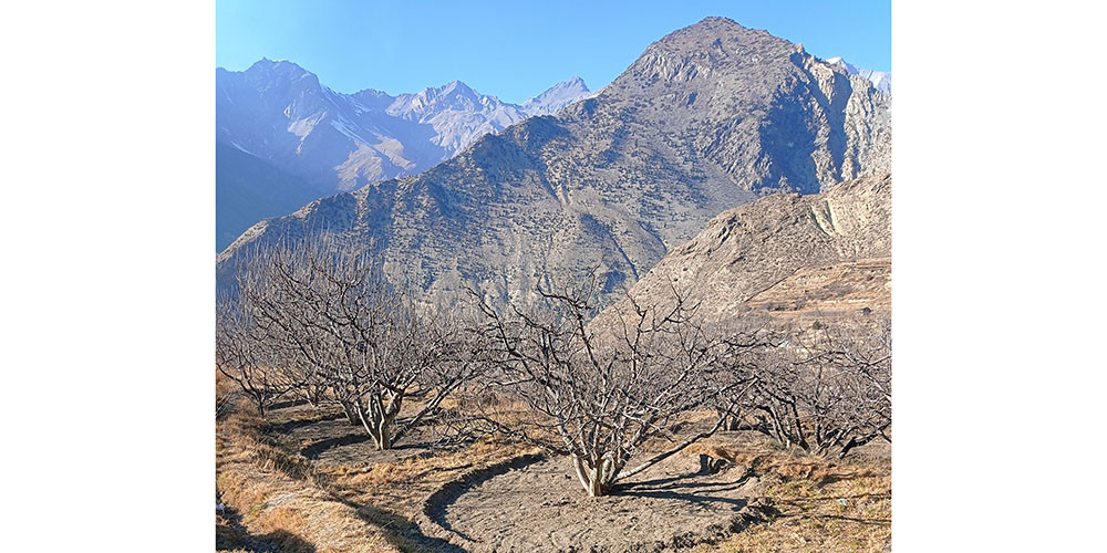 चिकित्सक, आइसियु र भेण्टिलेटरविहीन मुस्ताङ