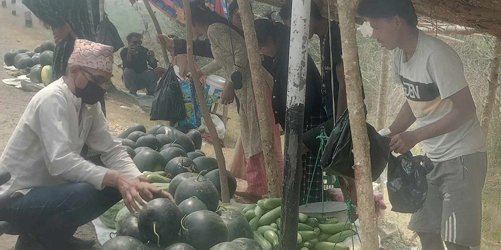 बगरमा तर्बुजा खेती, राजमार्गमा बिक्री