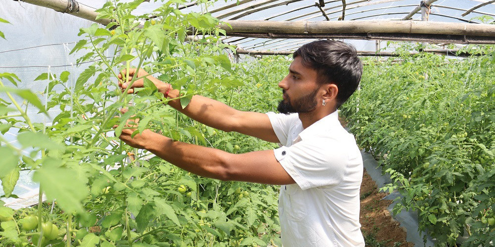 तरकारी बेचेरै दैनिक १० हजार कमाउँछन् यी युवक