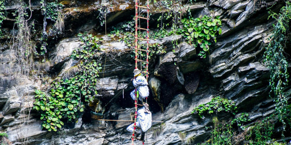 महसिकार आयआर्जन र पर्यटन प्रवर्द्धनको माध्यम बन्दै