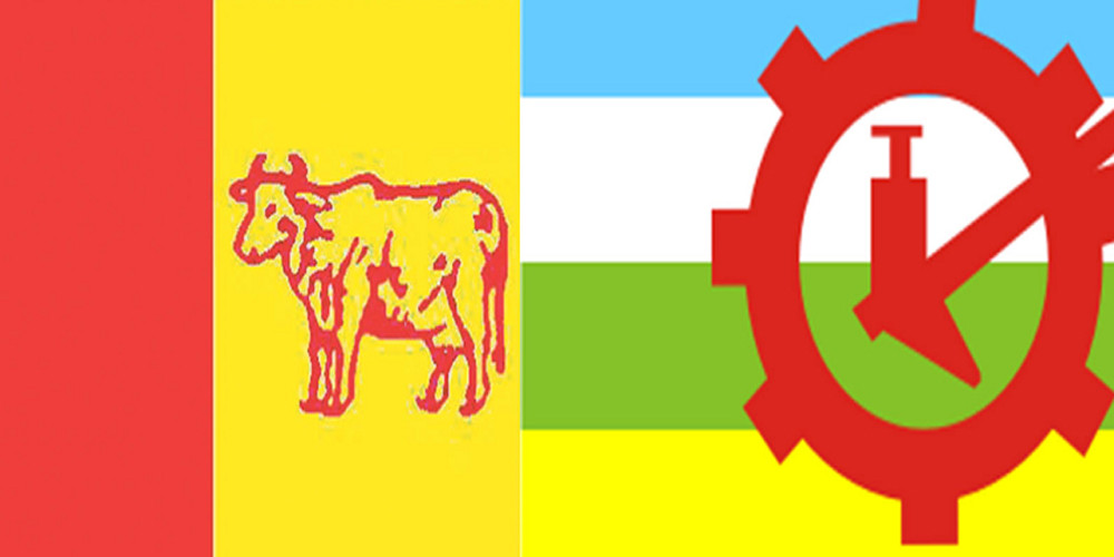 फेरि सर्‍यो राप्रपाको महाधिवेशन