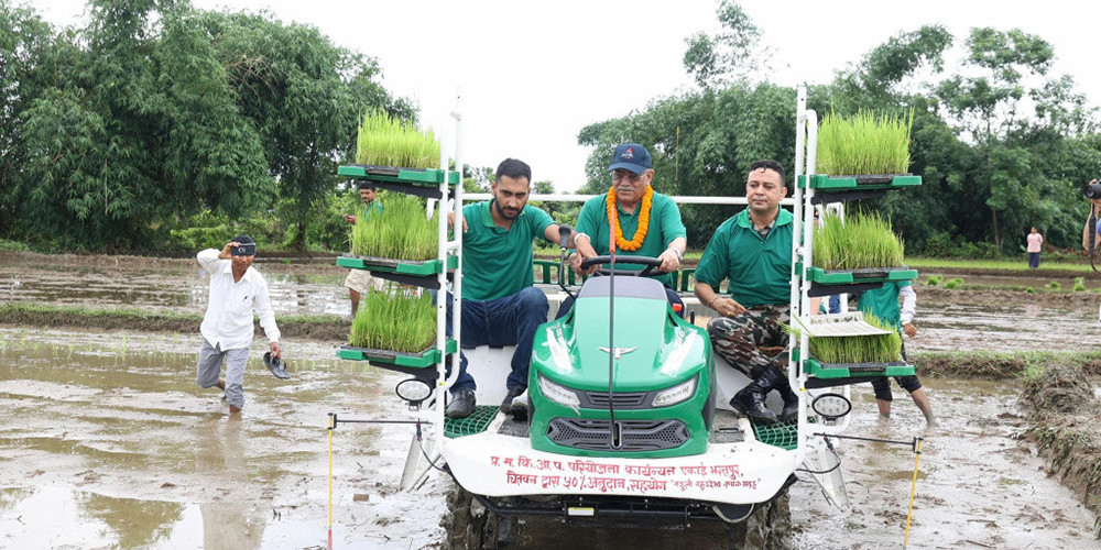 प्रधानमन्त्रीले मेसिनबाट रोपे धान