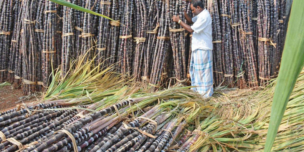 उखुको रकम भुक्तानीले किसानलाई राहत