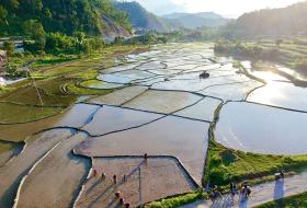 वर्षा कम हुँदा गण्डकीमा अपेक्षित रोपाइँ हुन सकेन