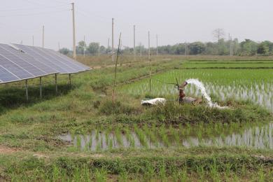 एक वर्षमा सिँचाइका ४८ ट्युबवेल निर्माण