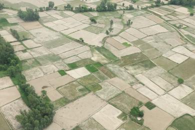 सुक्खाग्रस्त समस्या समाधानका लागि अन्तरराष्ट्रिय संस्थाहरु सक्रिय