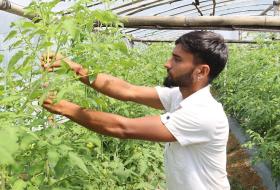 तरकारी बेचेरै दैनिक १० हजार कमाउँछन् यी युवक