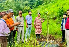 बाँदरले हैरान बनाएपछि पर्वतका किसान ओखरखेतीमा लागे