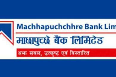 कलैयाको तरकारी तथा फलफूल बजारमा माछापुच्छे बैंकको क्यूआर कोड सुविधा