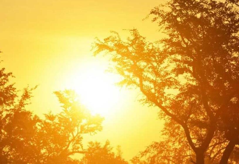 तातो हावा ‘लू’ ले नेपालगञ्जको जनजीवन प्रभावित